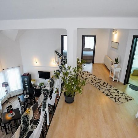 Hôtel Casa Alessias à Vişeu de Sus Extérieur photo