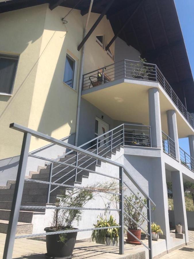 Hôtel Casa Alessias à Vişeu de Sus Extérieur photo